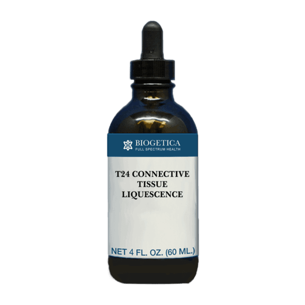 T24 Connective Tissue Liquescence