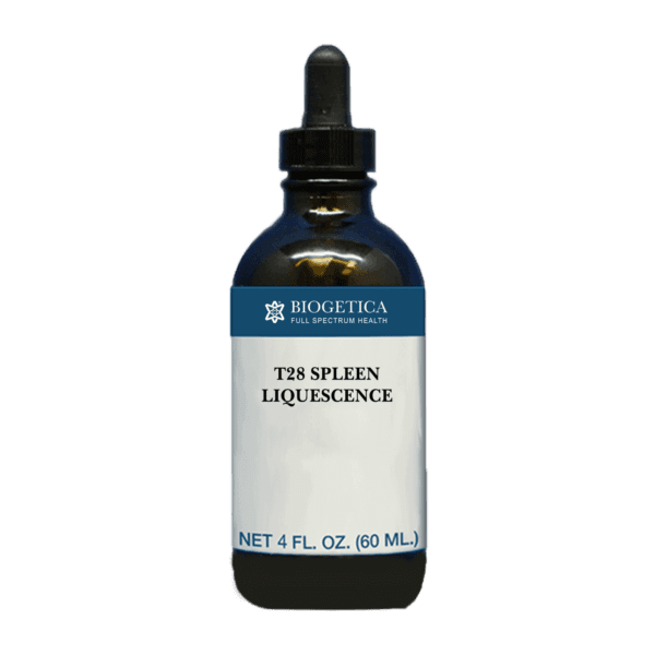 T28 Spleen Liquescence