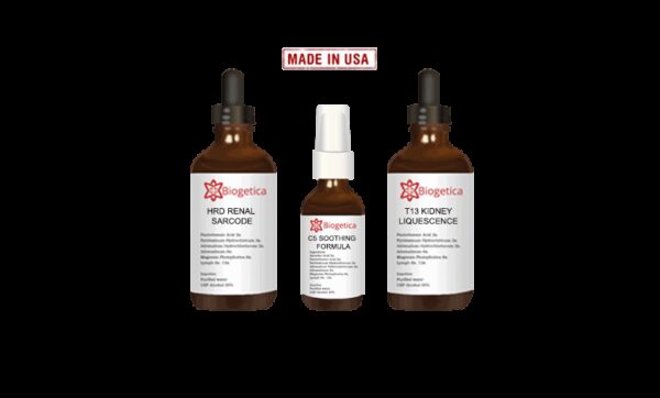 Essentials Kit With Homeopathic Kidney Support formula
