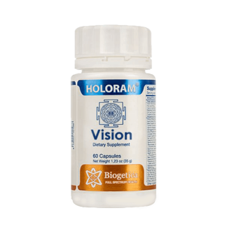 Vision
