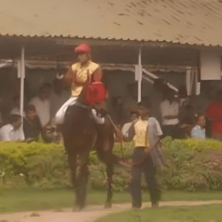 Featuring Apurve playing Polo at Will Roger Polo Field in Los Angeles.
