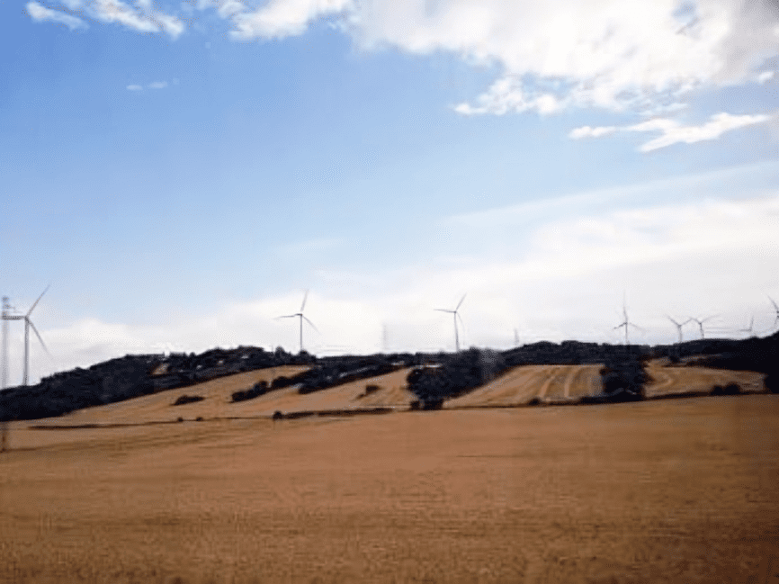 Plantations in Northern Spain